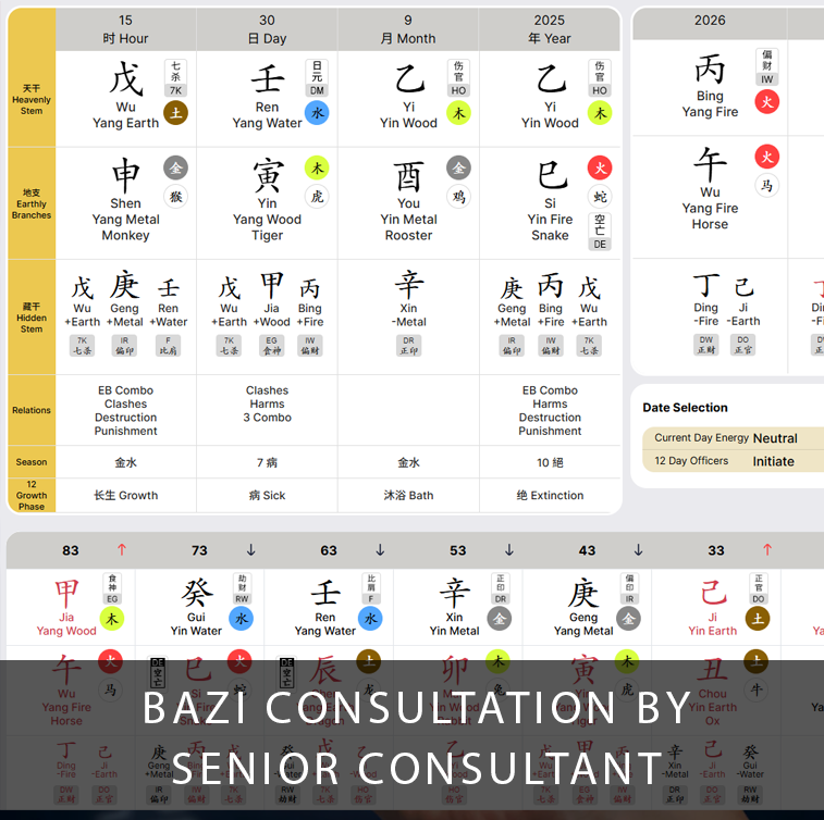 Bazi Consultation Online with Senior Consultant
